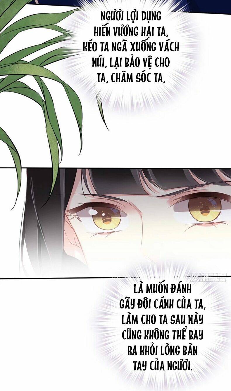 Quận chúa bất tư gia: Chapter 71