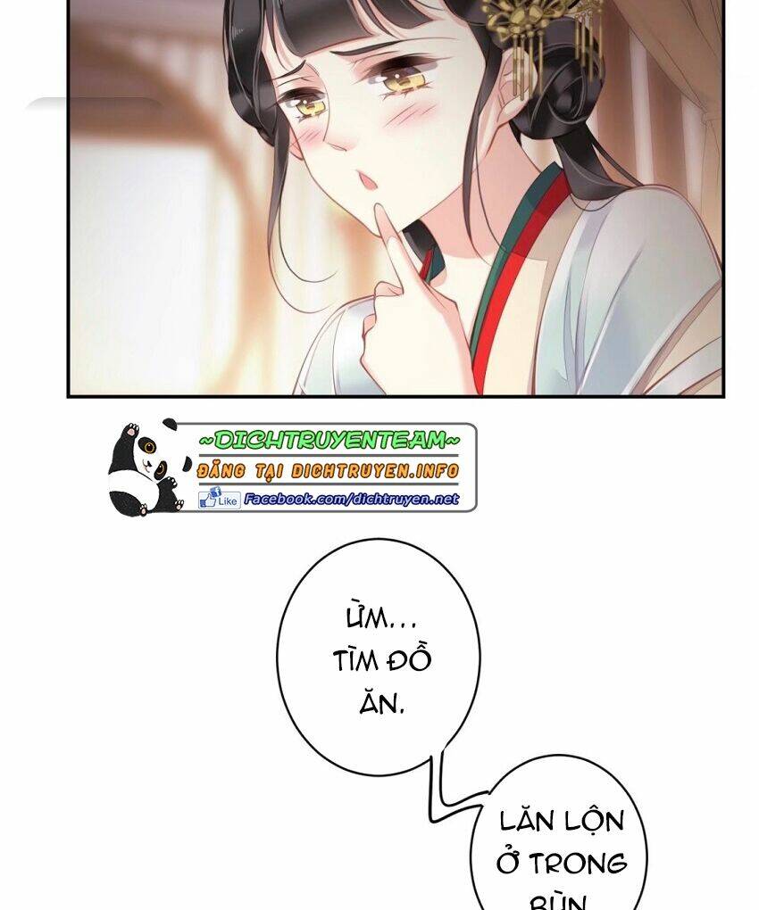Quận chúa bất tư gia: Chapter 81
