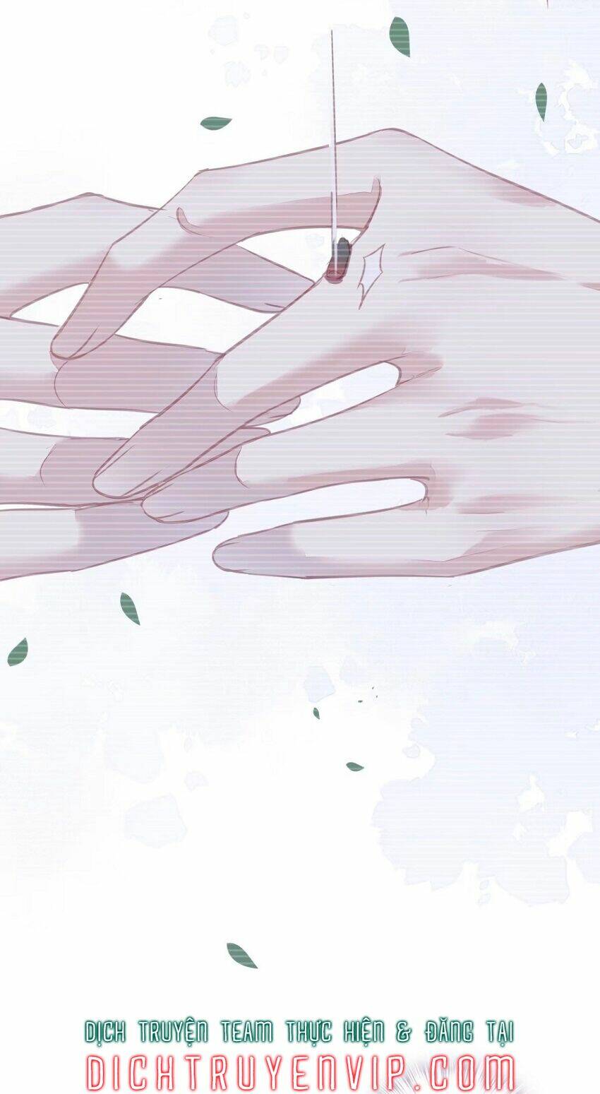 Quận chúa bất tư gia: Chapter 95