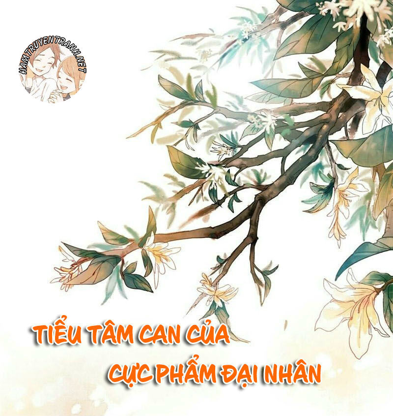 Tiểu Tâm Can Của Cực Phẩm Đại Nhân: Chương 1