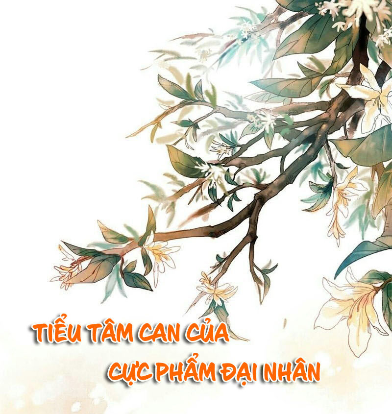 Tiểu Tâm Can Của Cực Phẩm Đại Nhân: Chương 20.2