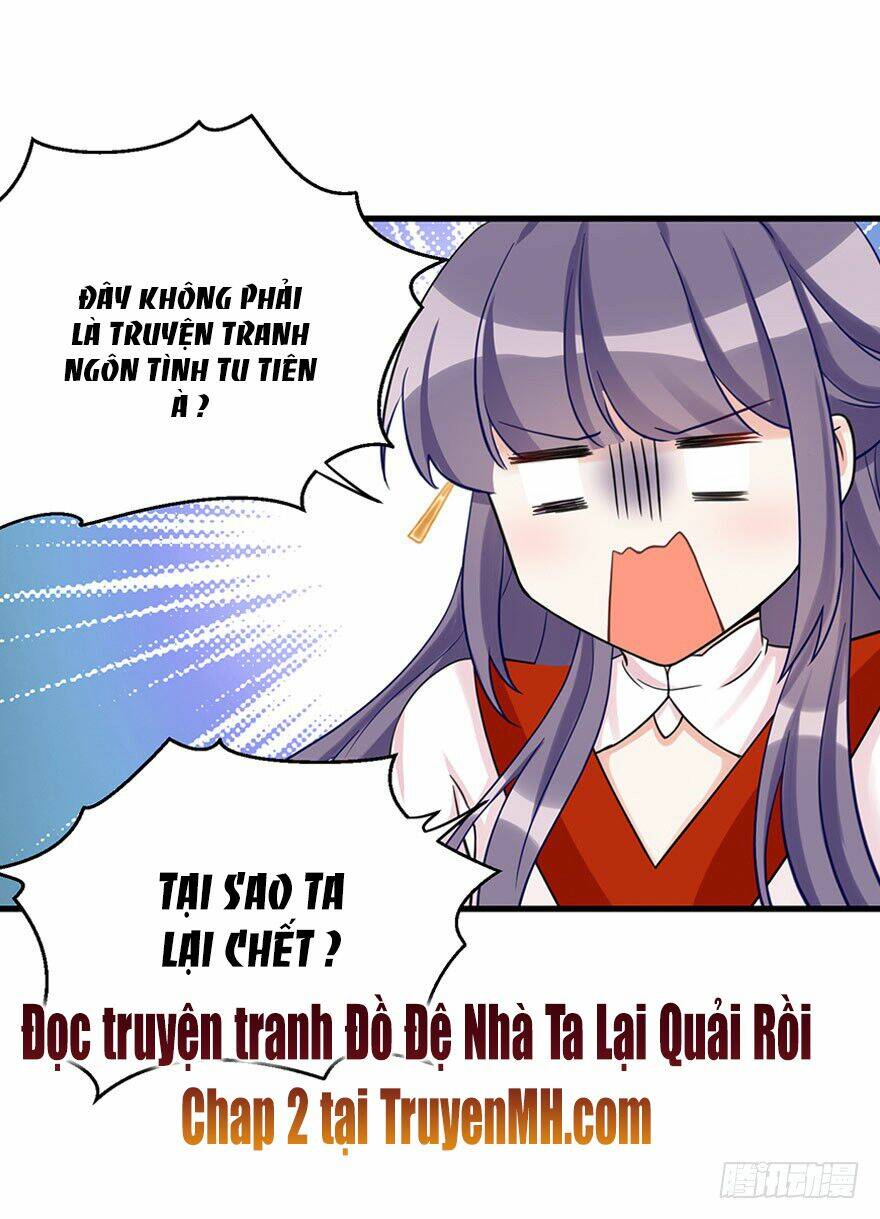 Đồ Đệ Nhà Ta Lại Quải Rồi: Chapter 1