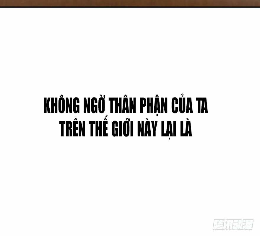 Đồ Đệ Nhà Ta Lại Quải Rồi: Chapter 1