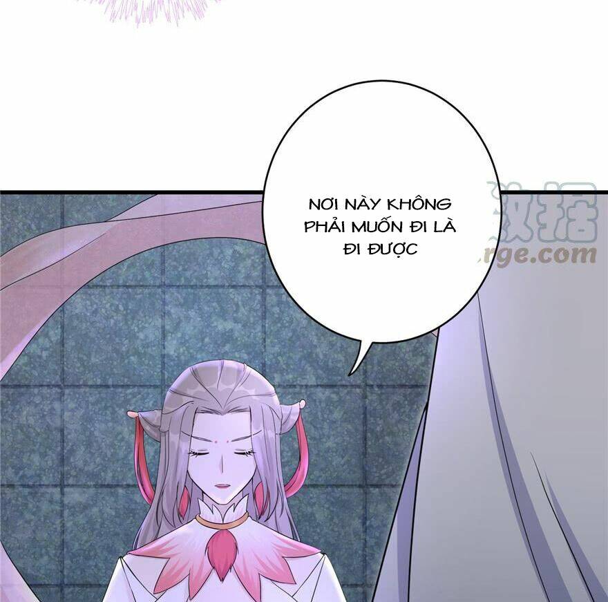 Đồ Đệ Nhà Ta Lại Quải Rồi: Chapter 113