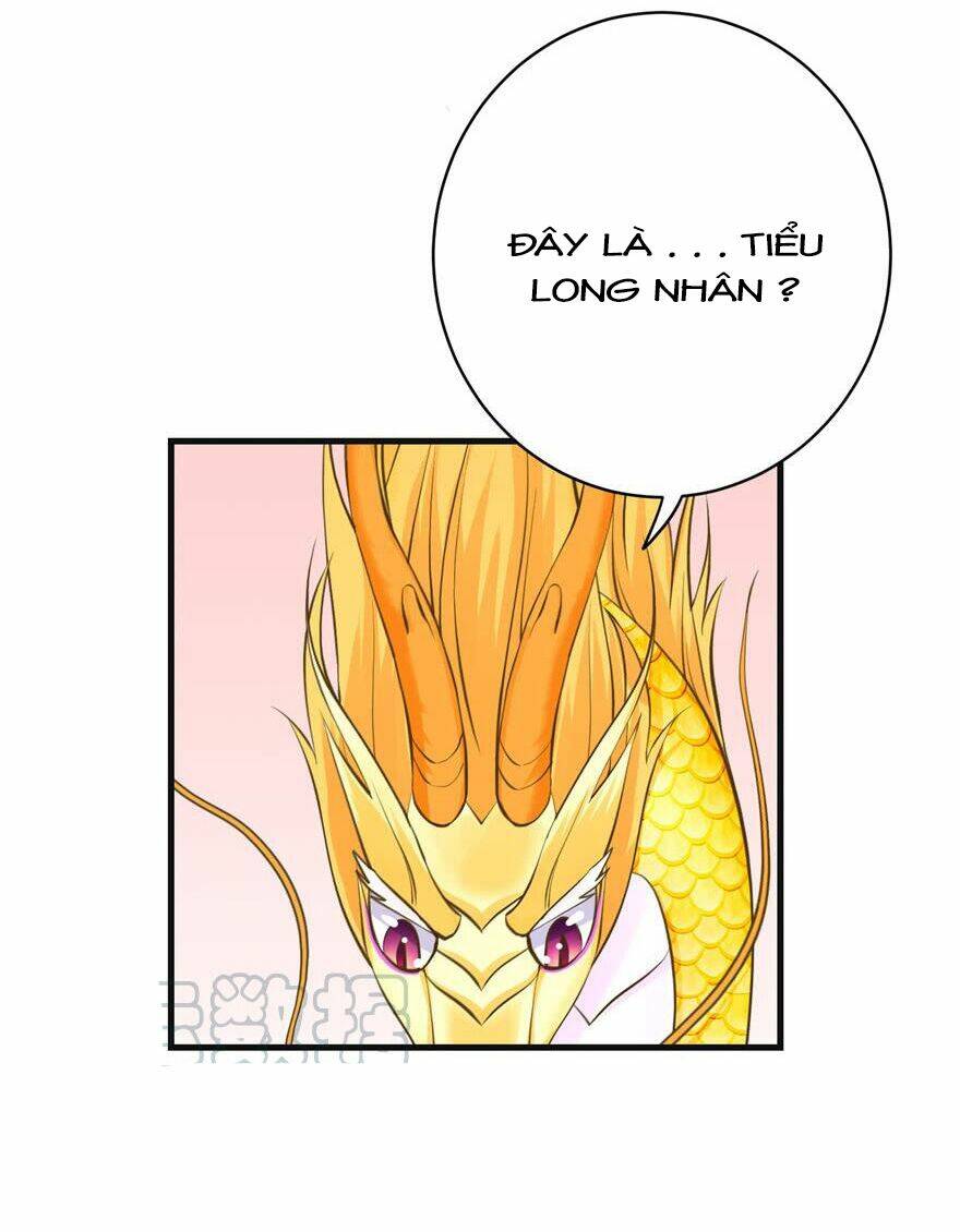 Đồ Đệ Nhà Ta Lại Quải Rồi: Chapter 154