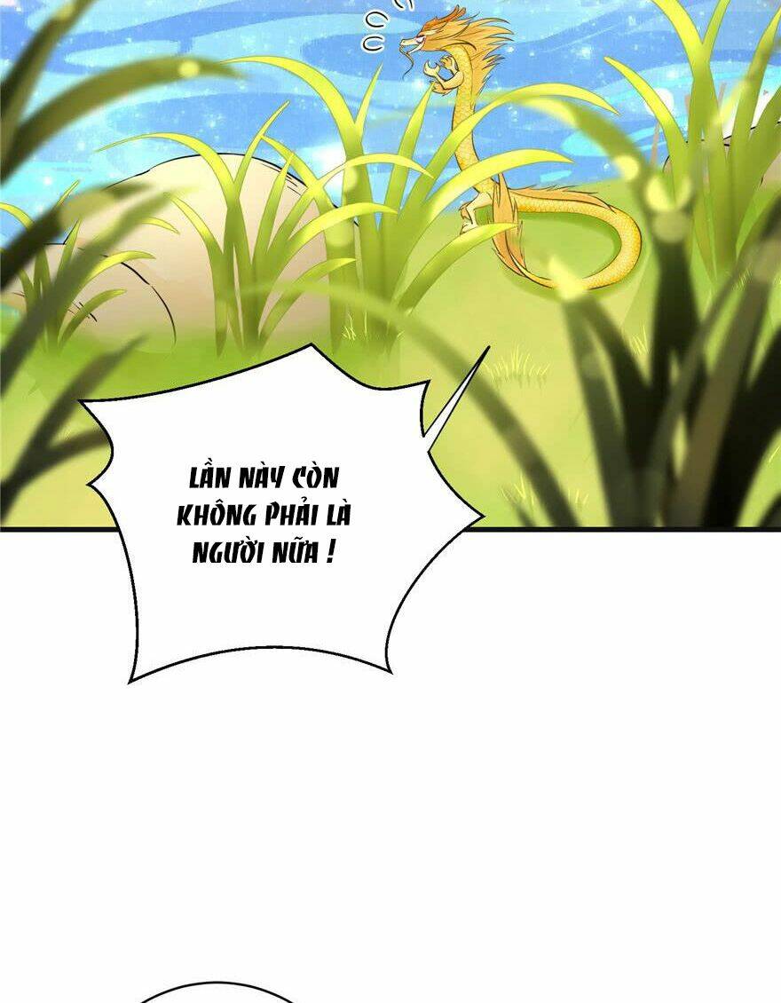 Đồ Đệ Nhà Ta Lại Quải Rồi: Chapter 154