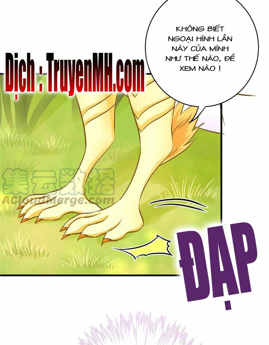 Đồ Đệ Nhà Ta Lại Quải Rồi: Chapter 154