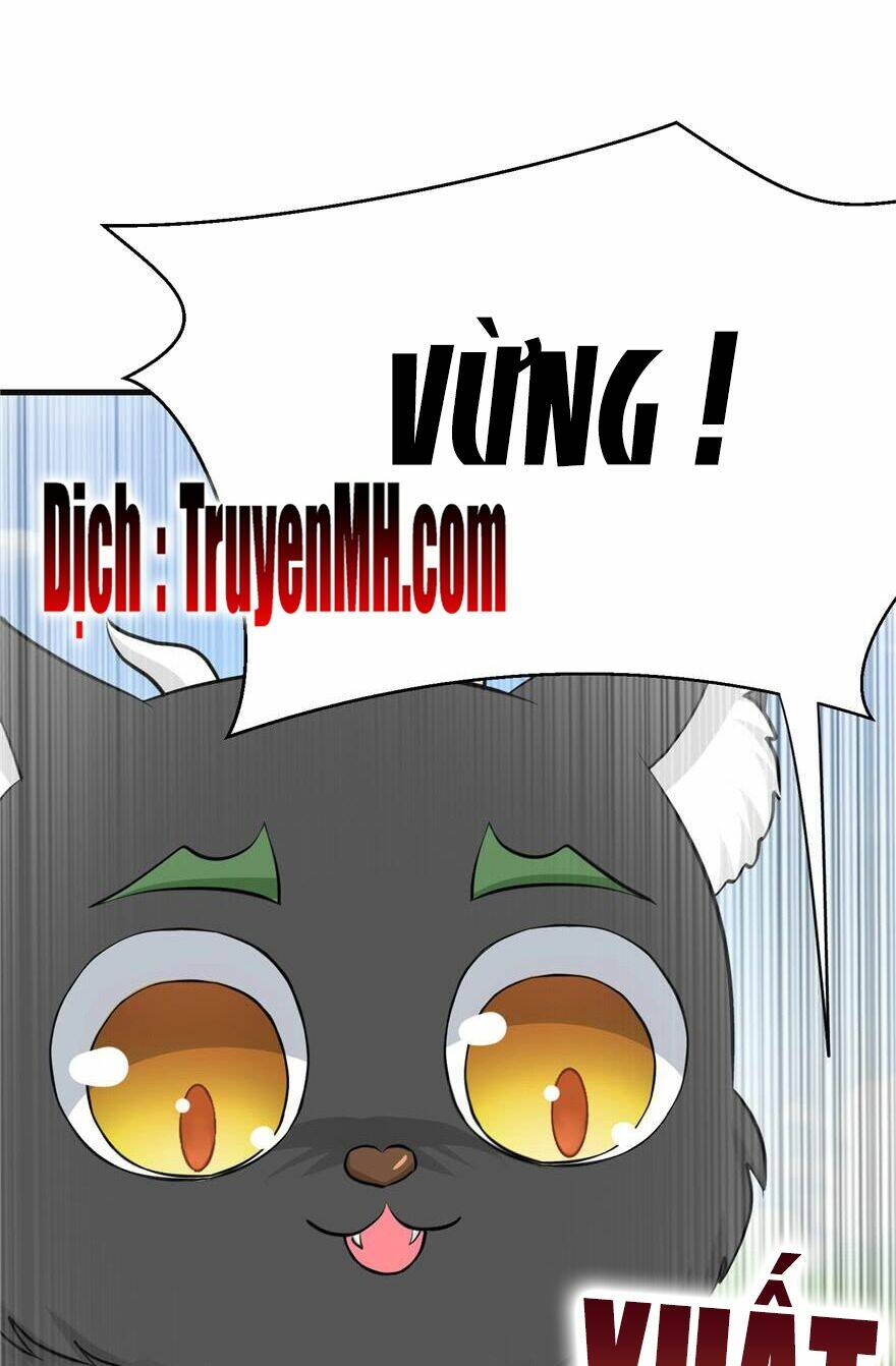 Đồ Đệ Nhà Ta Lại Quải Rồi: Chapter 155