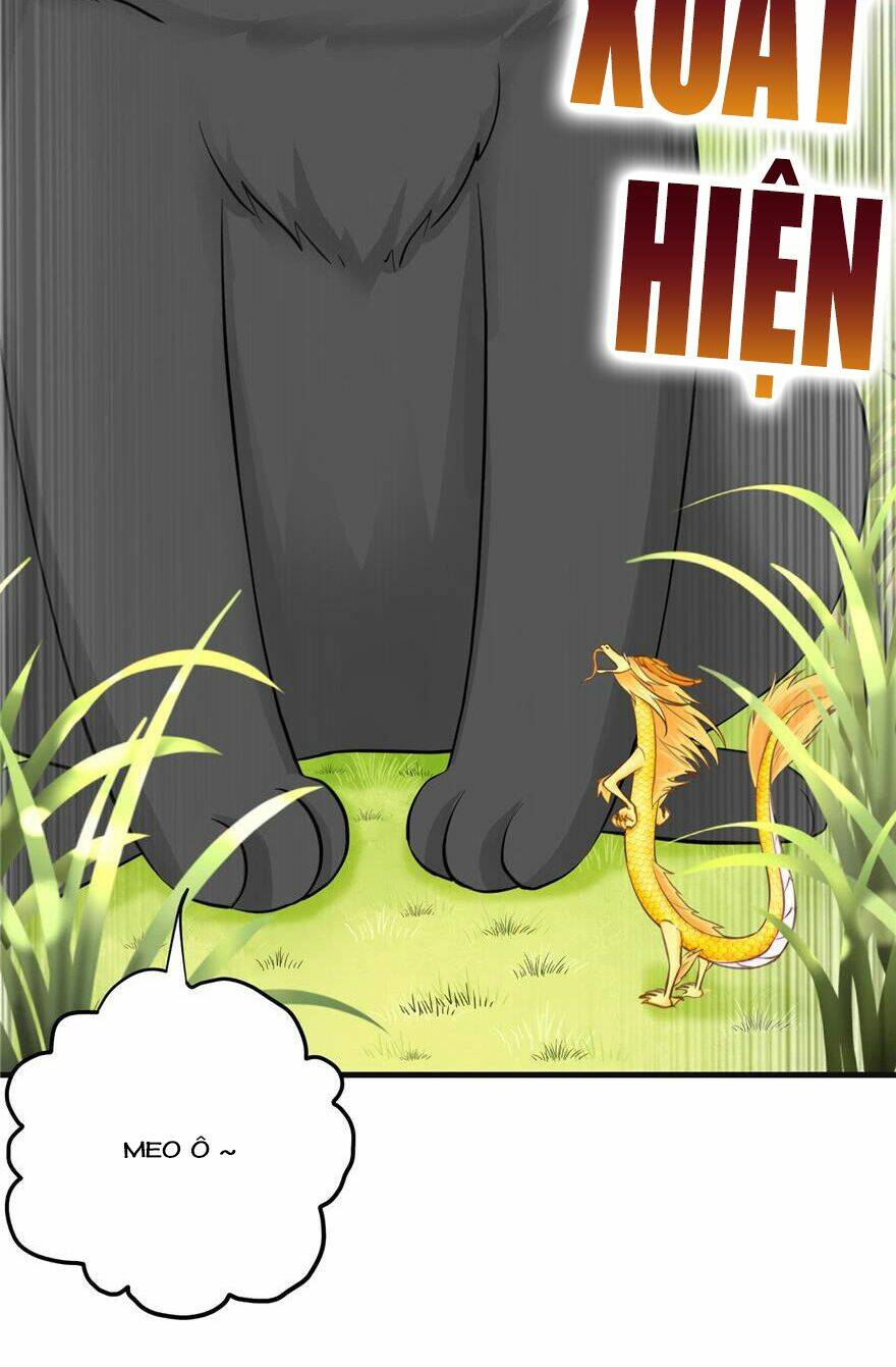 Đồ Đệ Nhà Ta Lại Quải Rồi: Chapter 155