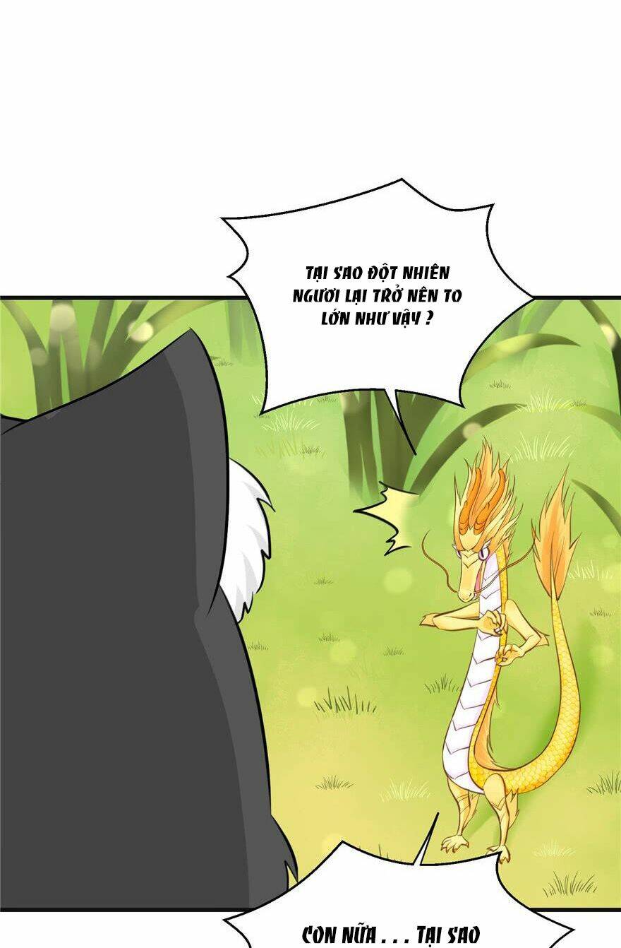 Đồ Đệ Nhà Ta Lại Quải Rồi: Chapter 155