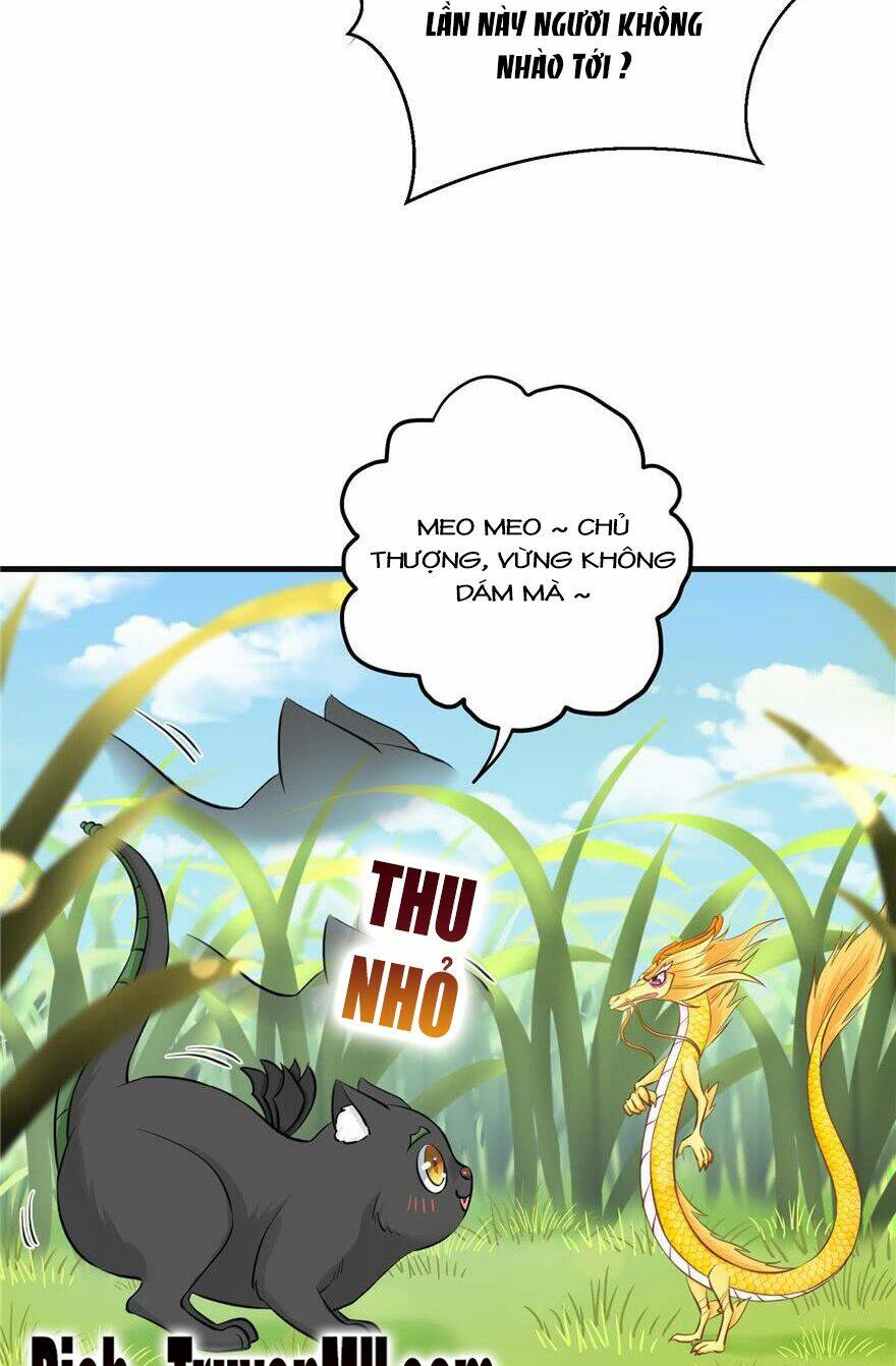 Đồ Đệ Nhà Ta Lại Quải Rồi: Chapter 155