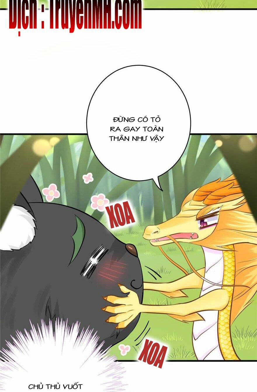 Đồ Đệ Nhà Ta Lại Quải Rồi: Chapter 155