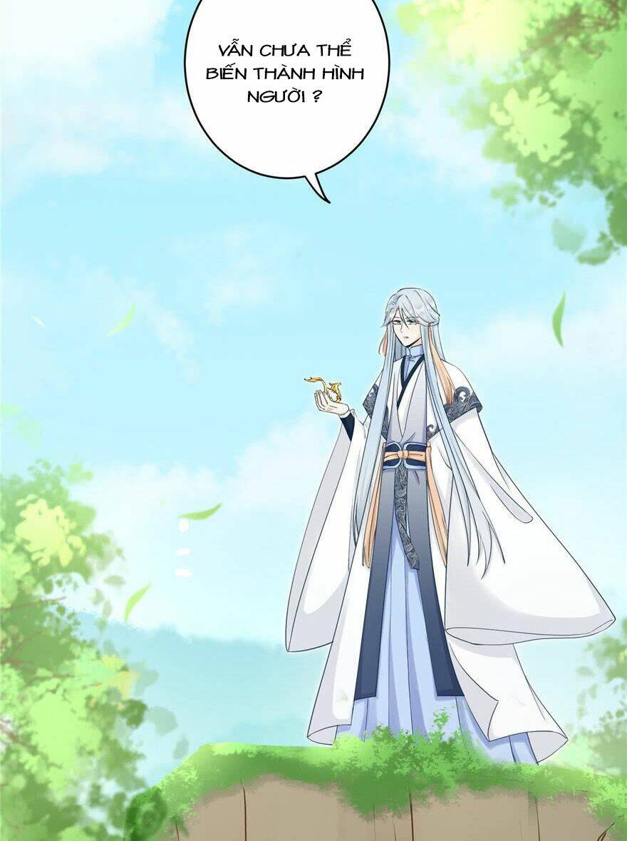 Đồ Đệ Nhà Ta Lại Quải Rồi: Chapter 156