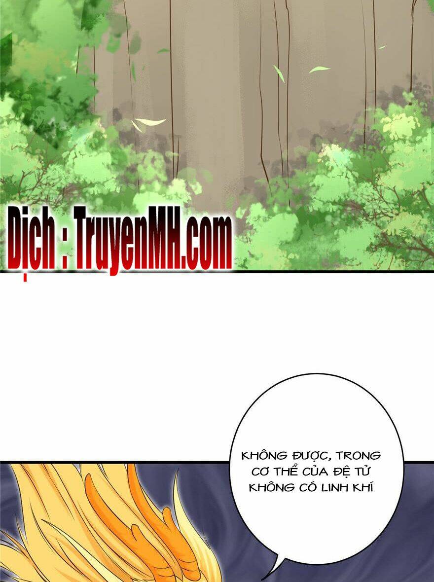 Đồ Đệ Nhà Ta Lại Quải Rồi: Chapter 156