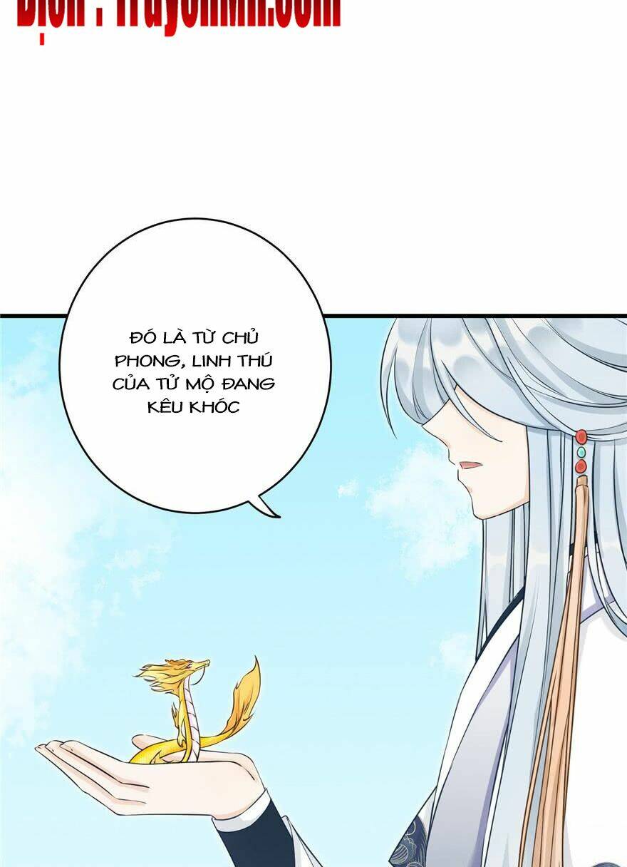 Đồ Đệ Nhà Ta Lại Quải Rồi: Chapter 157