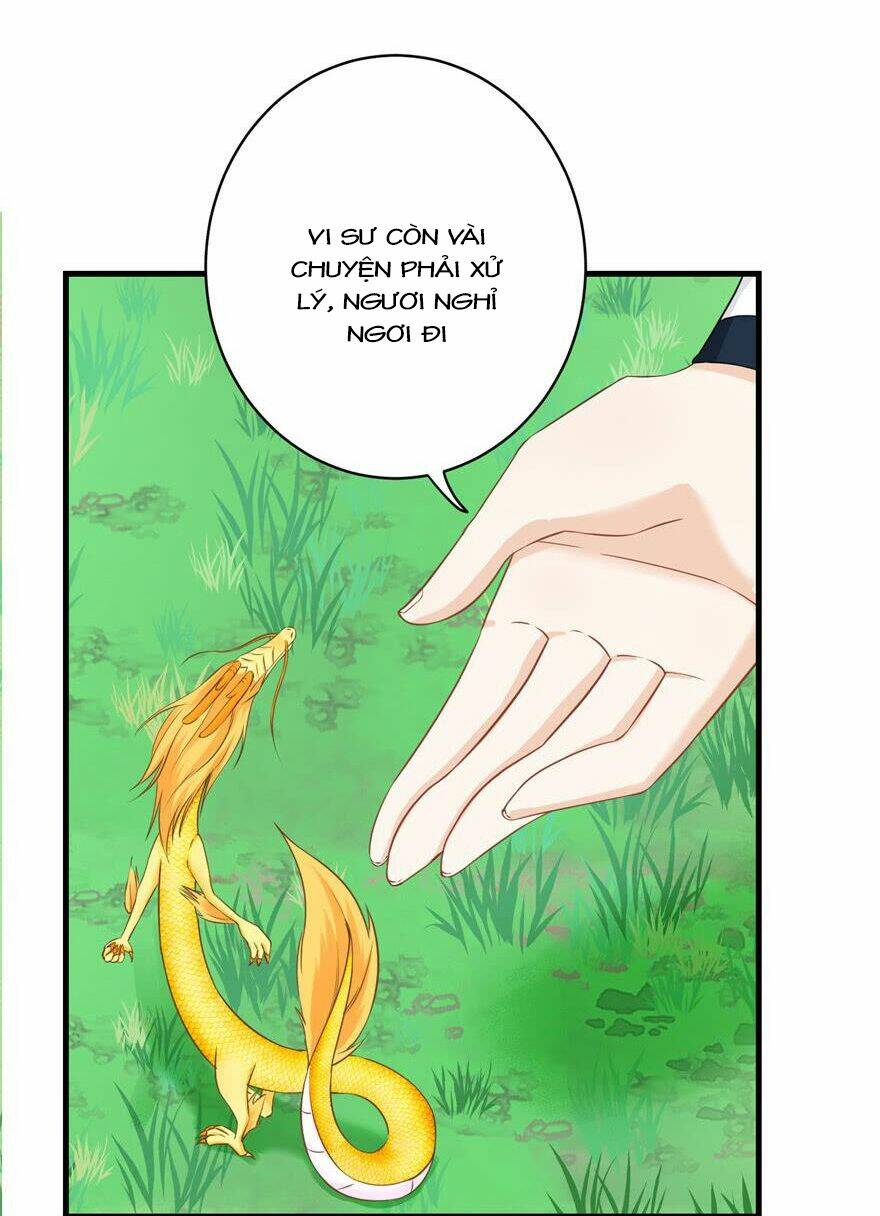 Đồ Đệ Nhà Ta Lại Quải Rồi: Chapter 157