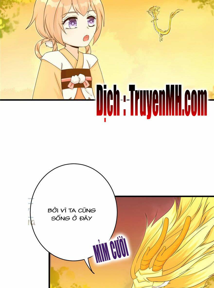 Đồ Đệ Nhà Ta Lại Quải Rồi: Chapter 158