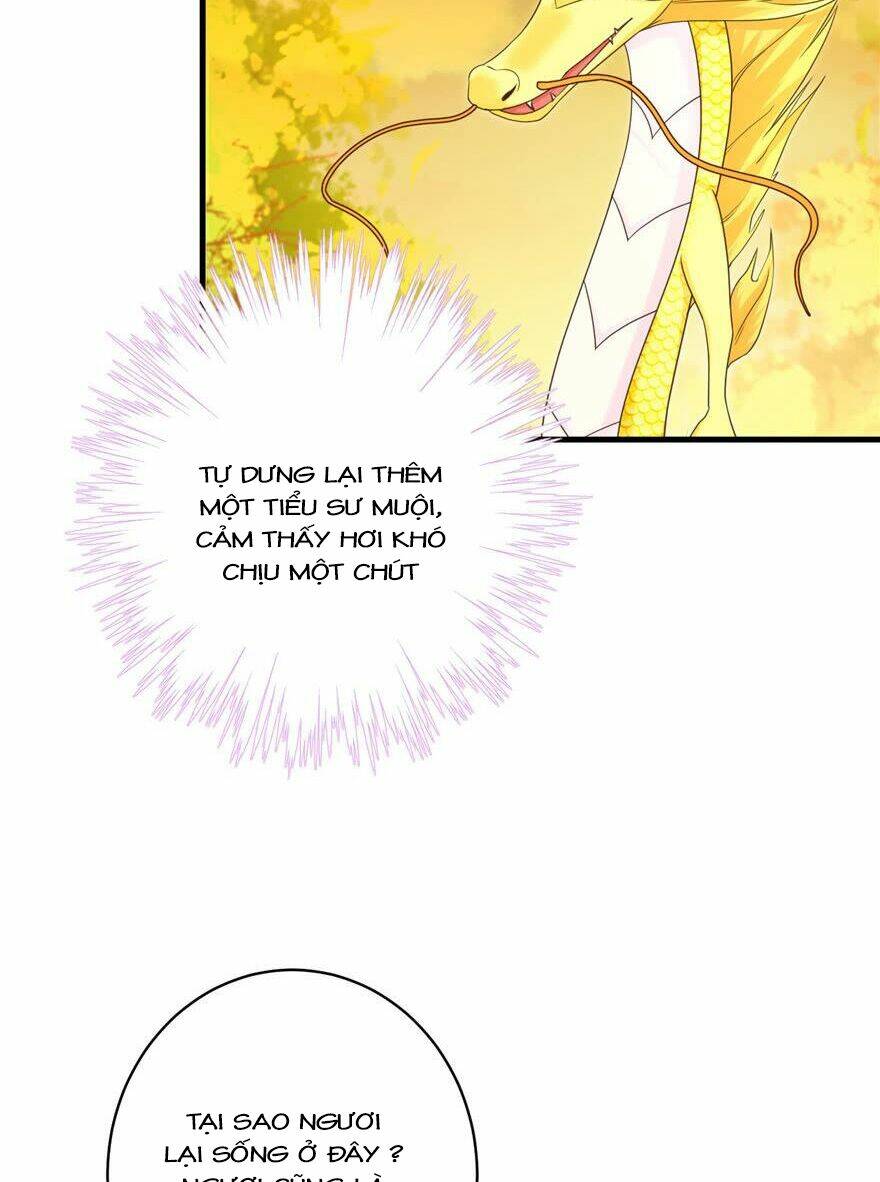 Đồ Đệ Nhà Ta Lại Quải Rồi: Chapter 158