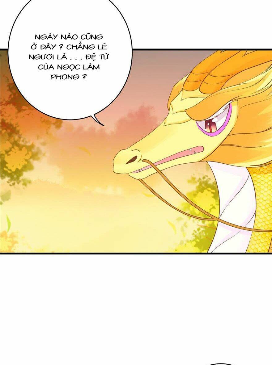 Đồ Đệ Nhà Ta Lại Quải Rồi: Chapter 158