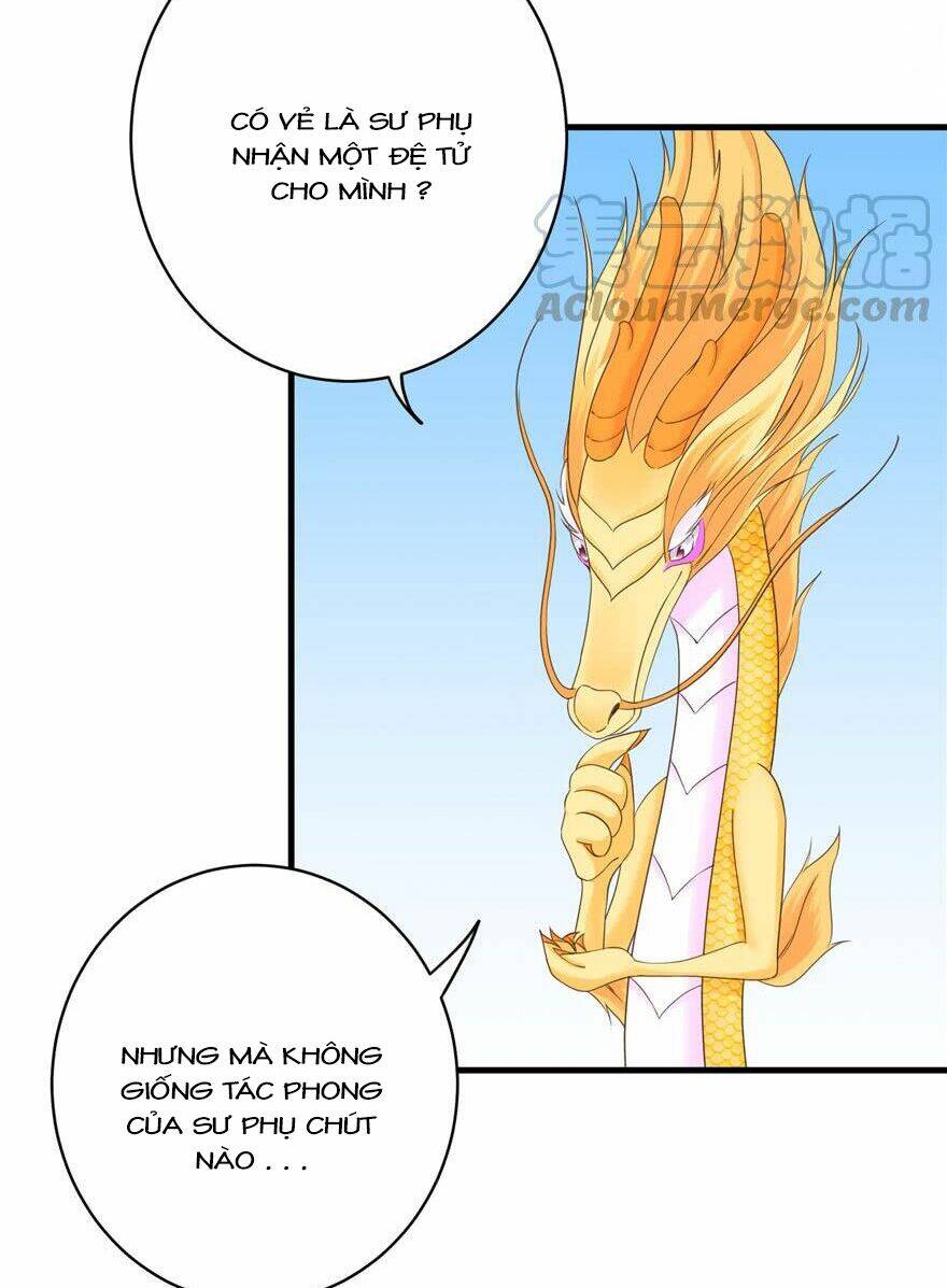 Đồ Đệ Nhà Ta Lại Quải Rồi: Chapter 159