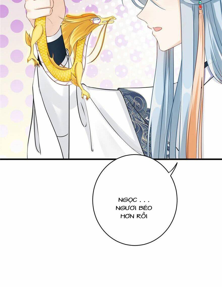 Đồ Đệ Nhà Ta Lại Quải Rồi: Chapter 160