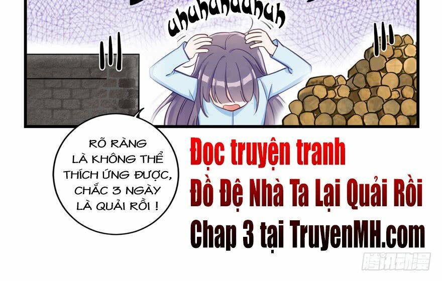 Đồ Đệ Nhà Ta Lại Quải Rồi: Chapter 2