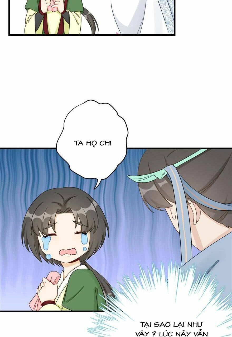 Đồ Đệ Nhà Ta Lại Quải Rồi: Chapter 201
