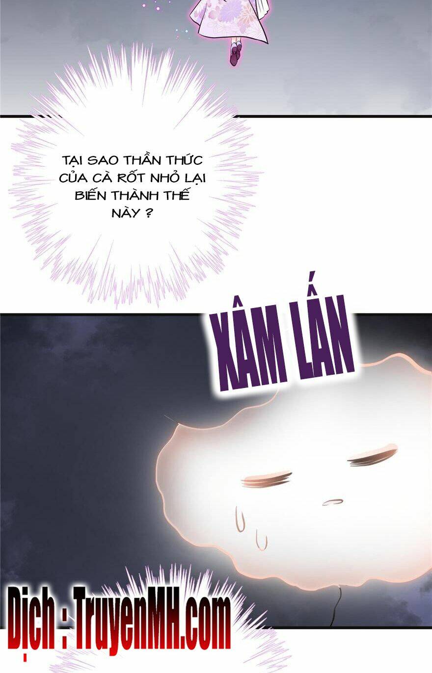 Đồ Đệ Nhà Ta Lại Quải Rồi: Chapter 207