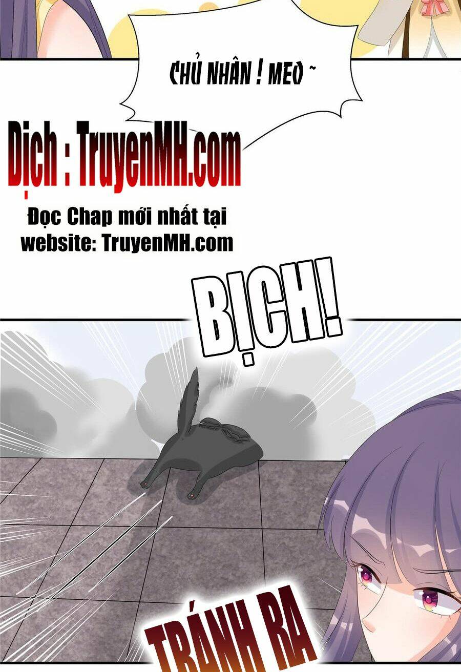 Đồ Đệ Nhà Ta Lại Quải Rồi: Chapter 229