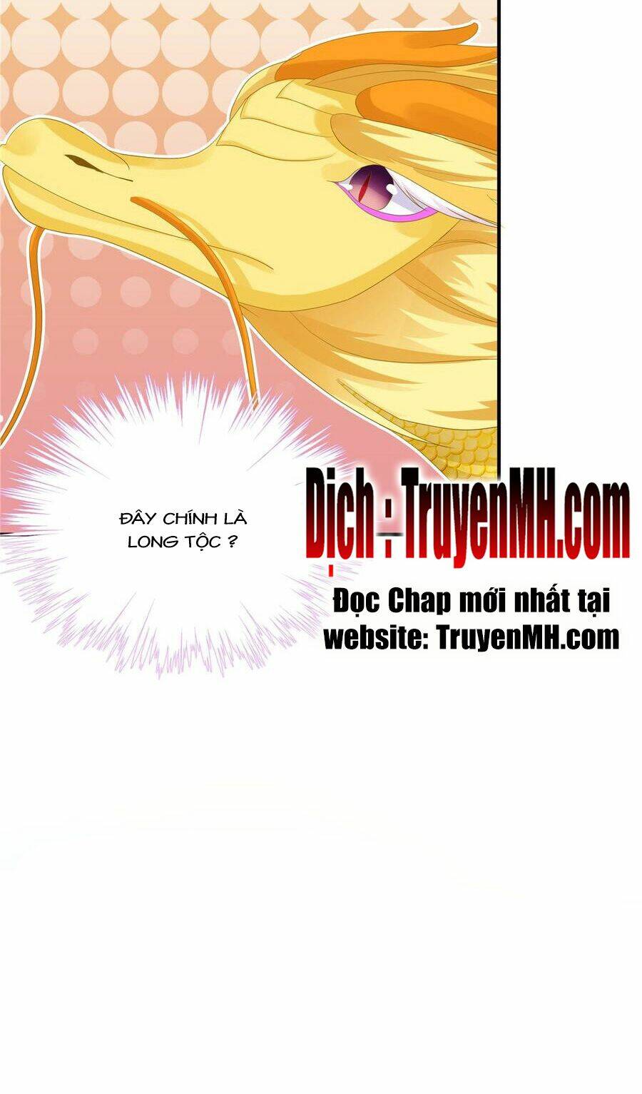 Đồ Đệ Nhà Ta Lại Quải Rồi: Chapter 237