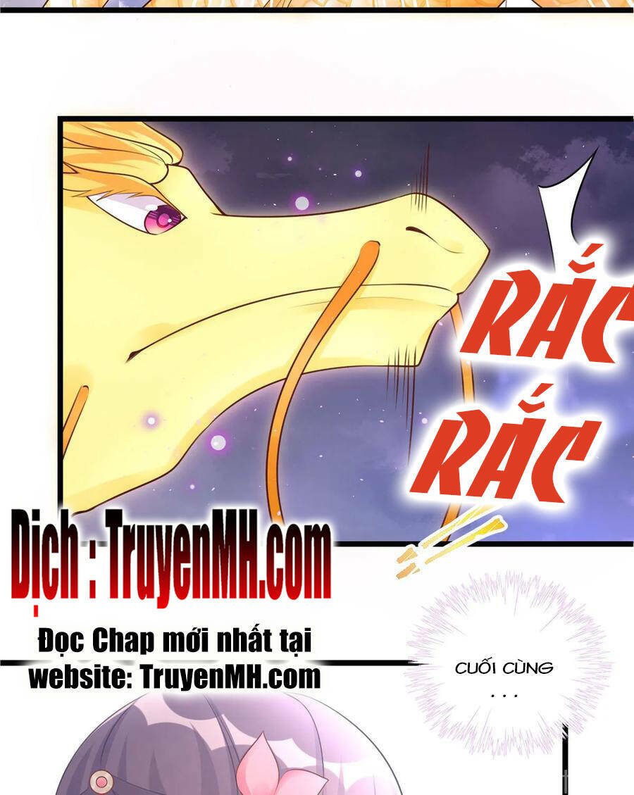 Đồ Đệ Nhà Ta Lại Quải Rồi: Chapter 277
