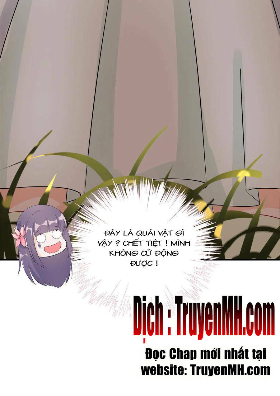 Đồ Đệ Nhà Ta Lại Quải Rồi: Chapter 279
