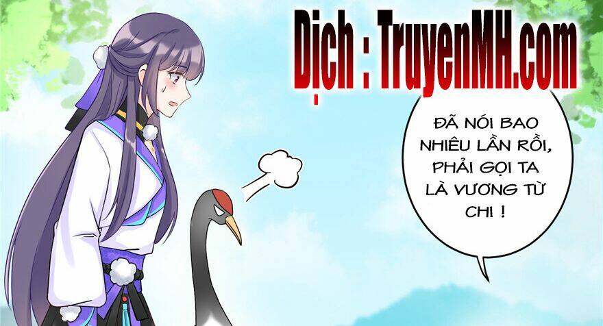 Đồ Đệ Nhà Ta Lại Quải Rồi: Chapter 28