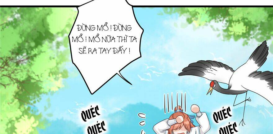 Đồ Đệ Nhà Ta Lại Quải Rồi: Chapter 28