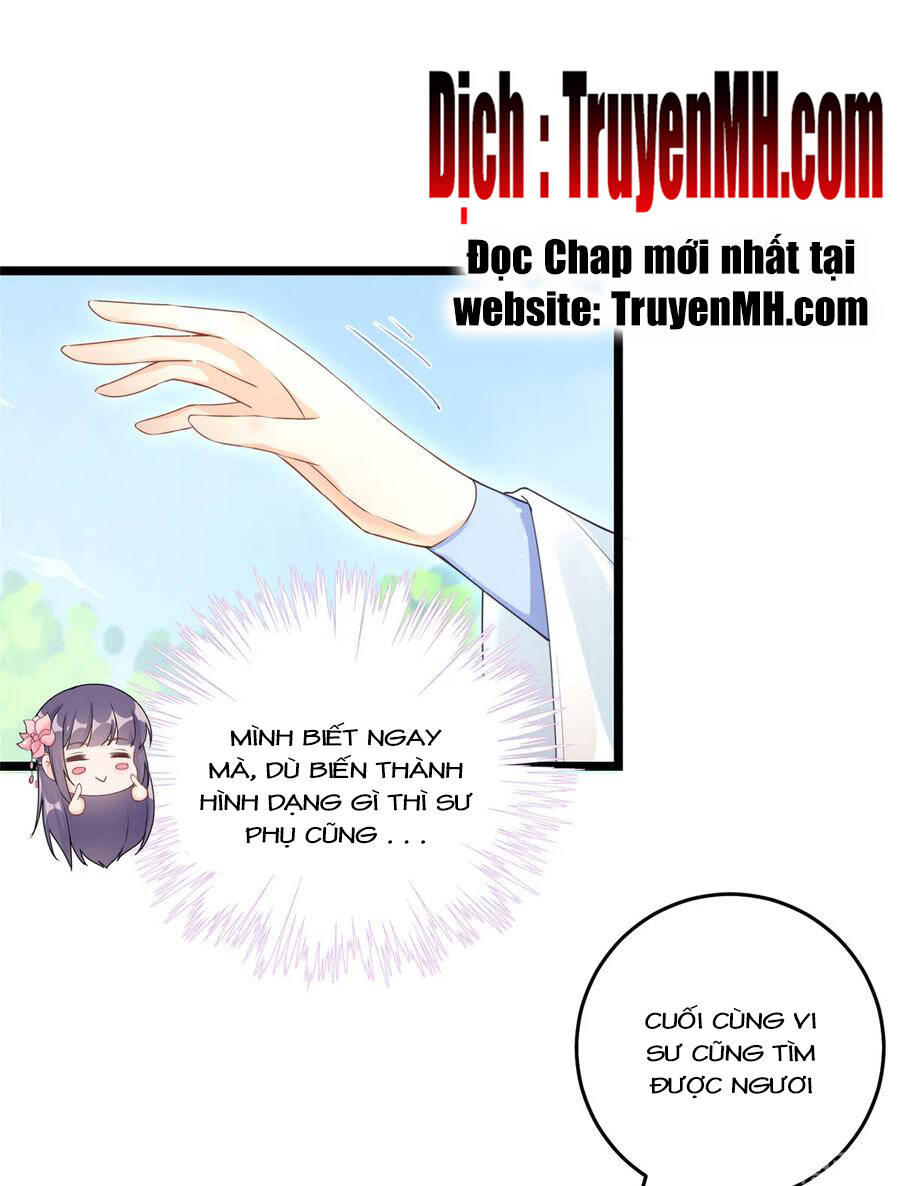 Đồ Đệ Nhà Ta Lại Quải Rồi: Chapter 280