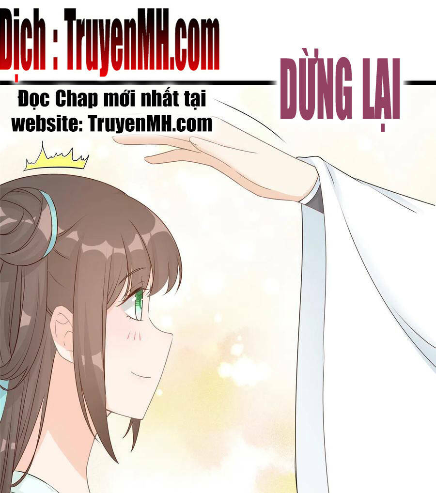 Đồ Đệ Nhà Ta Lại Quải Rồi: Chapter 282