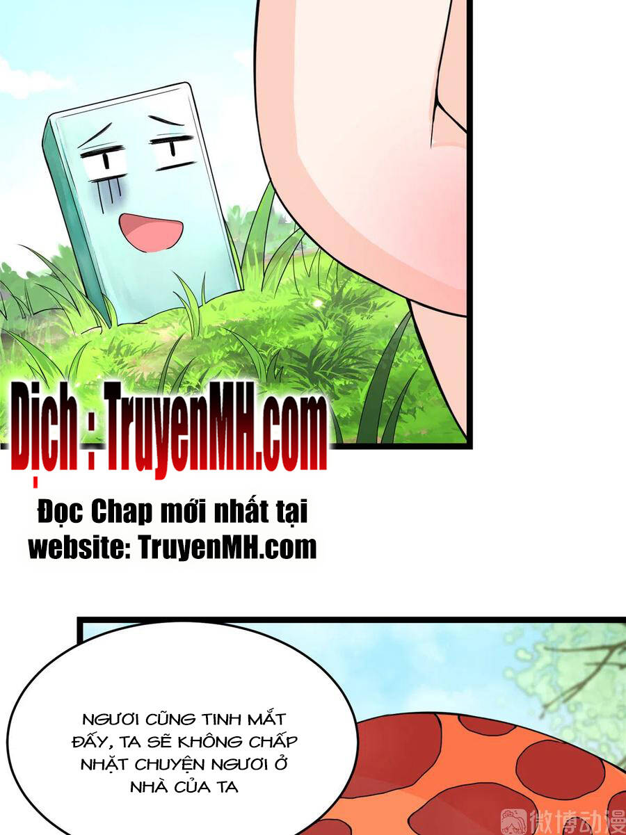 Đồ Đệ Nhà Ta Lại Quải Rồi: Chapter 284