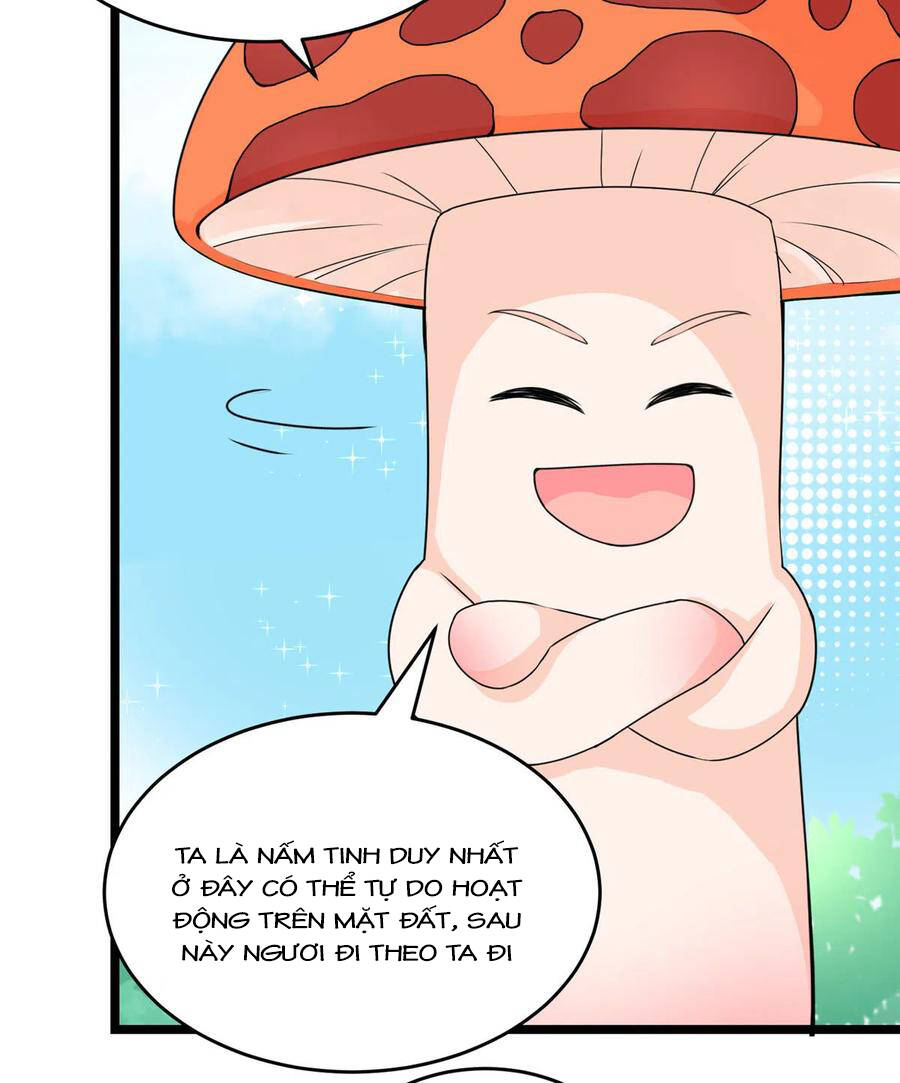 Đồ Đệ Nhà Ta Lại Quải Rồi: Chapter 284