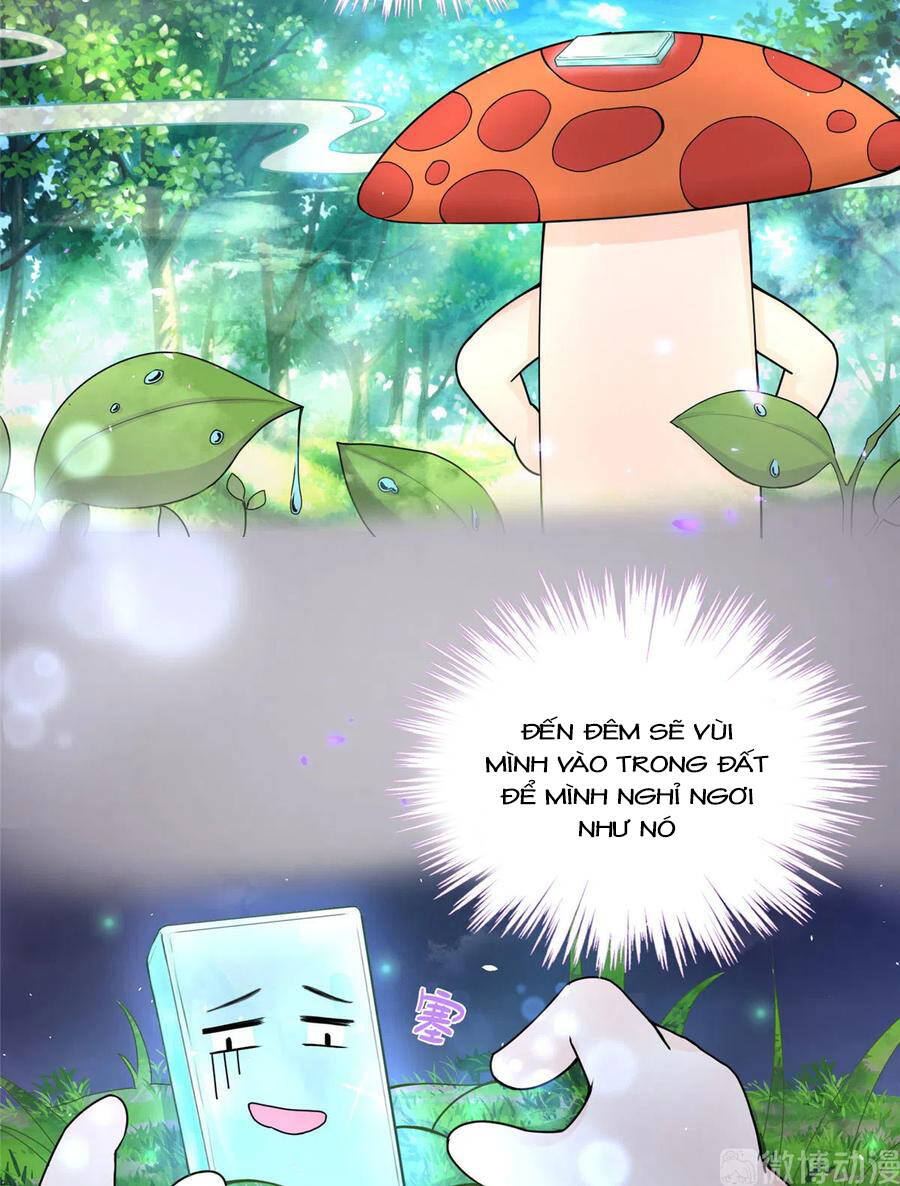 Đồ Đệ Nhà Ta Lại Quải Rồi: Chapter 284