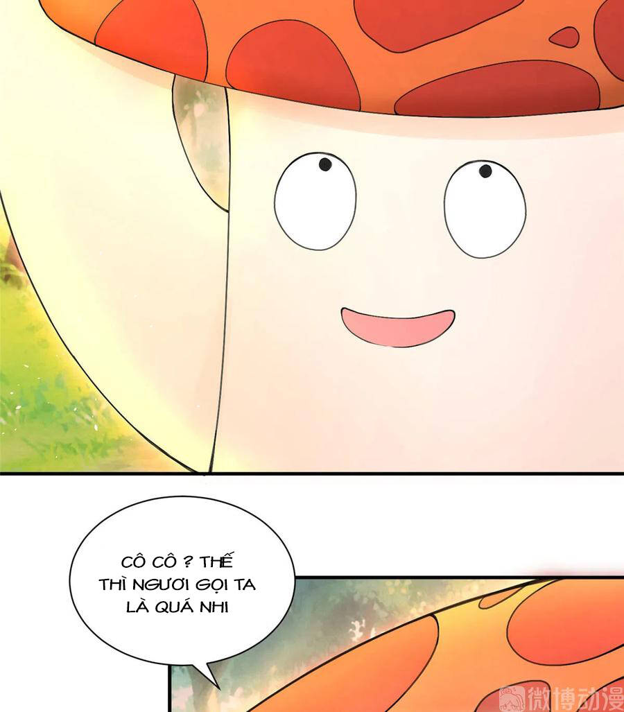 Đồ Đệ Nhà Ta Lại Quải Rồi: Chapter 284