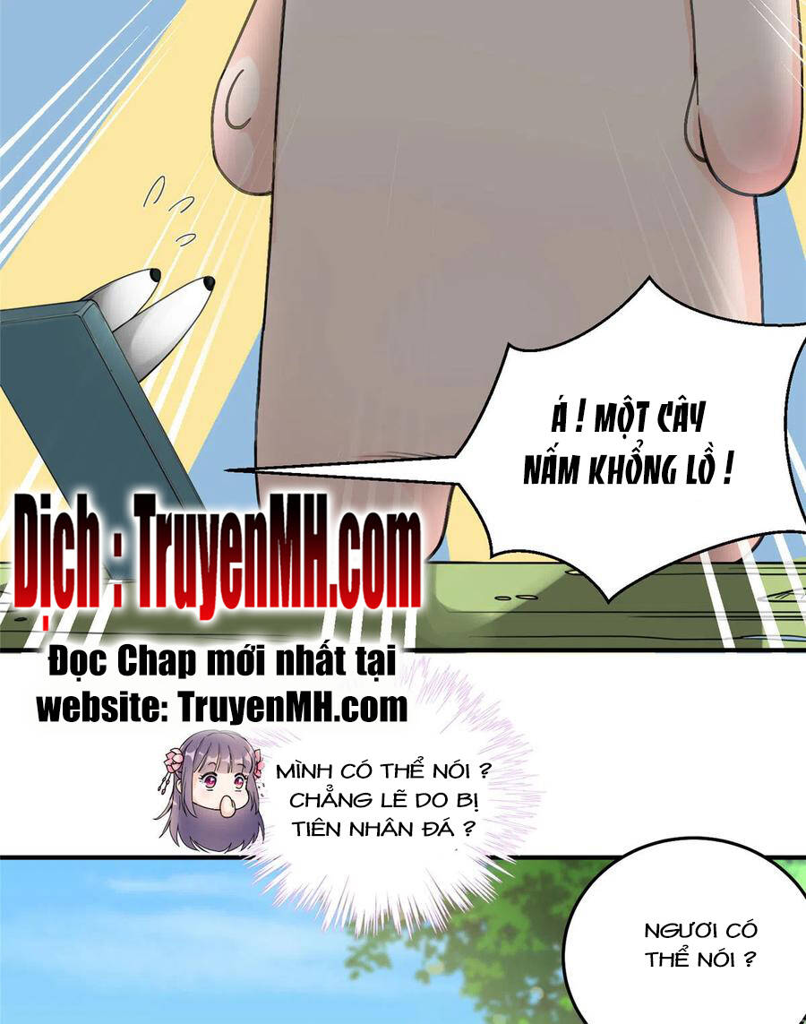 Đồ Đệ Nhà Ta Lại Quải Rồi: Chapter 284
