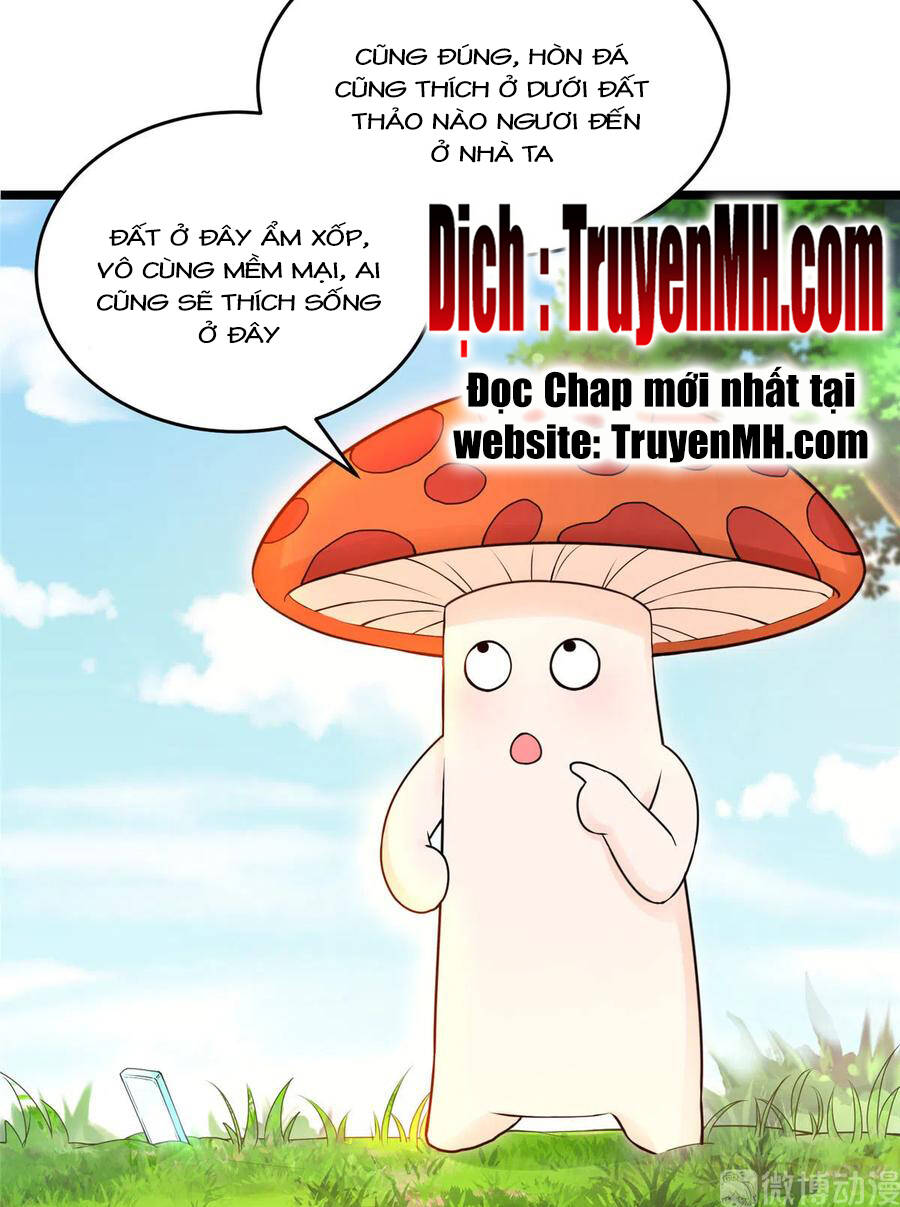 Đồ Đệ Nhà Ta Lại Quải Rồi: Chapter 284