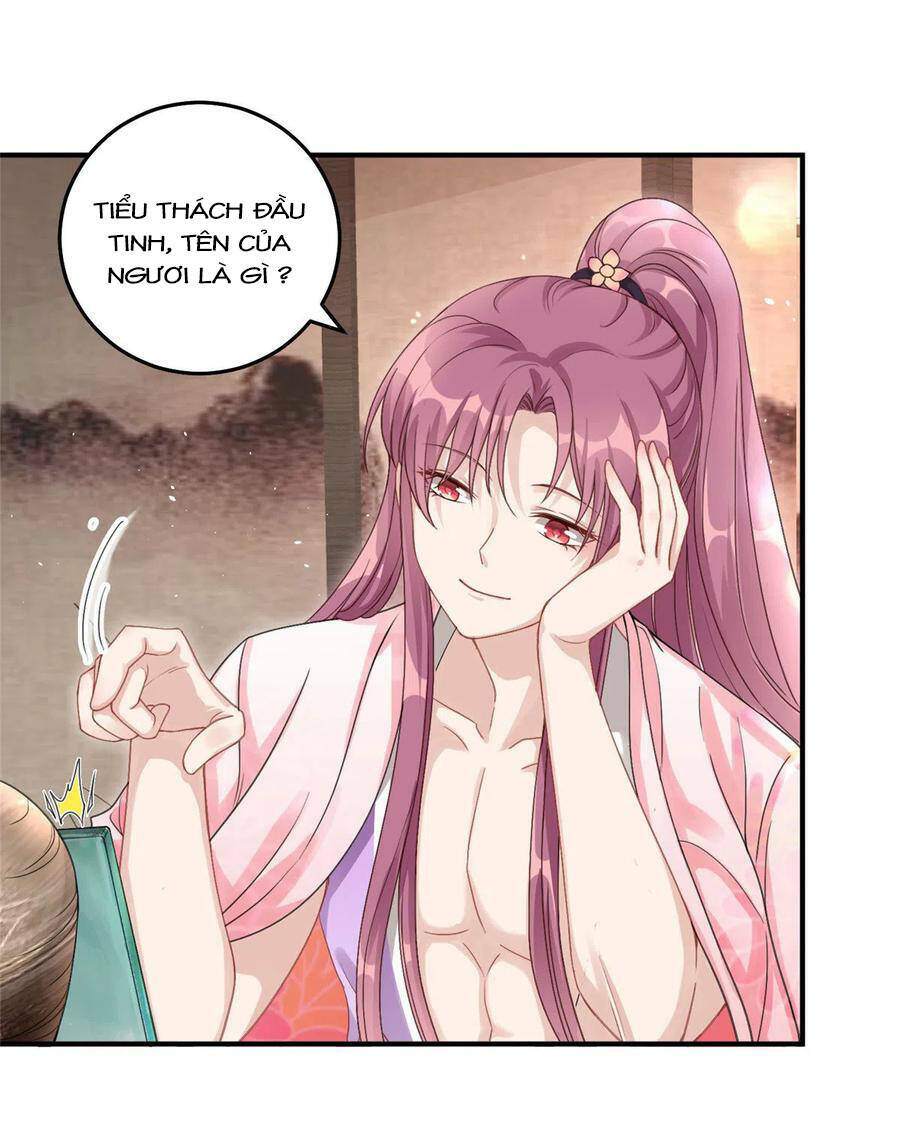 Đồ Đệ Nhà Ta Lại Quải Rồi: Chapter 286