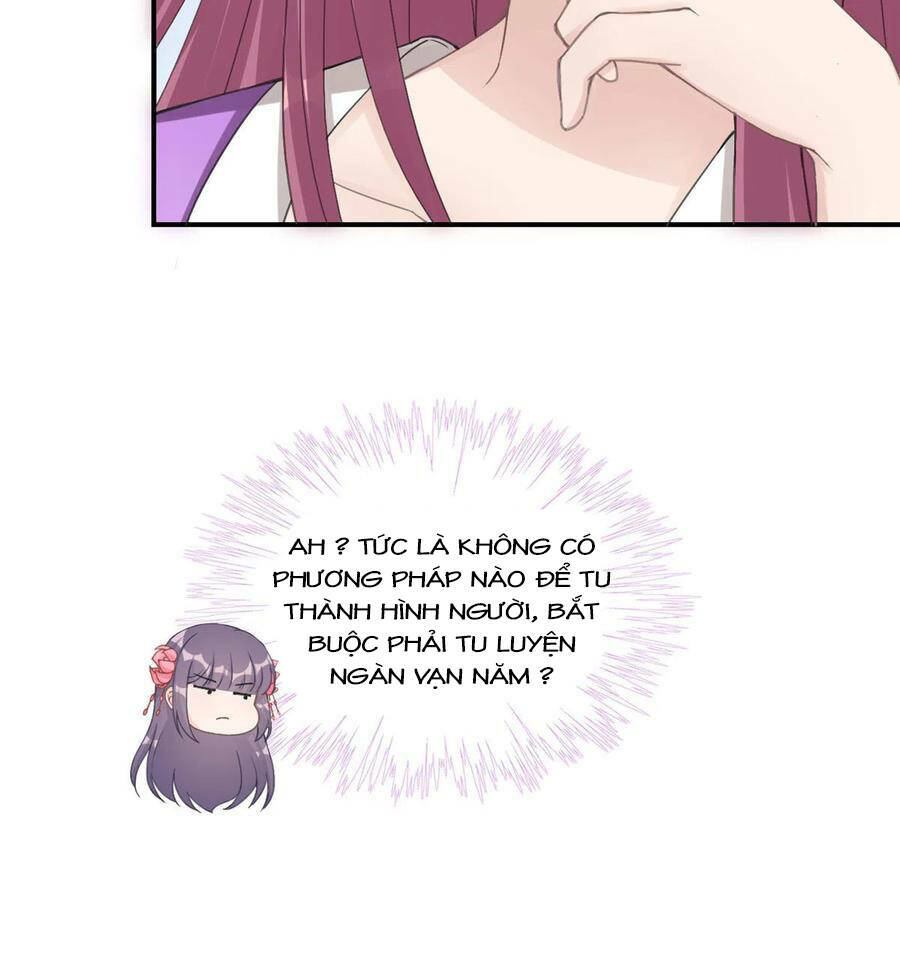 Đồ Đệ Nhà Ta Lại Quải Rồi: Chapter 286