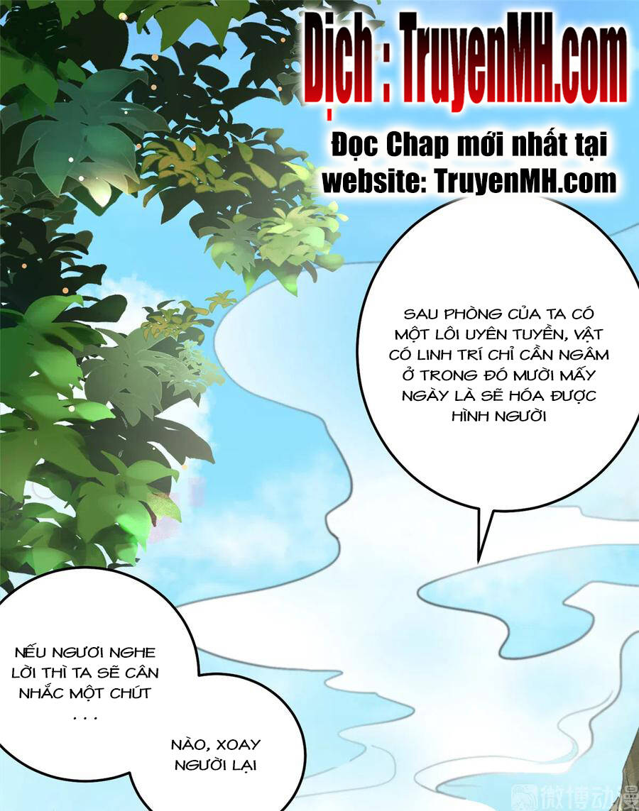 Đồ Đệ Nhà Ta Lại Quải Rồi: Chapter 287
