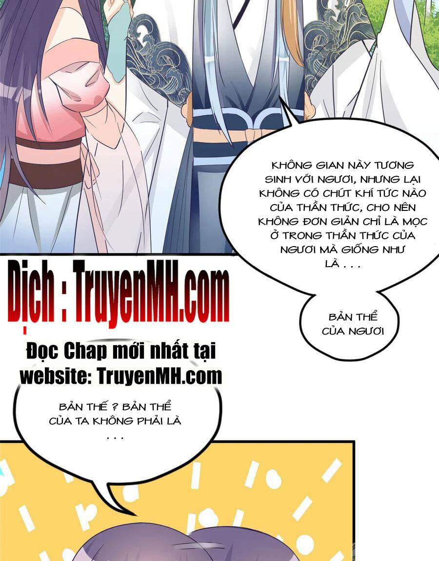 Đồ Đệ Nhà Ta Lại Quải Rồi: Chapter 300