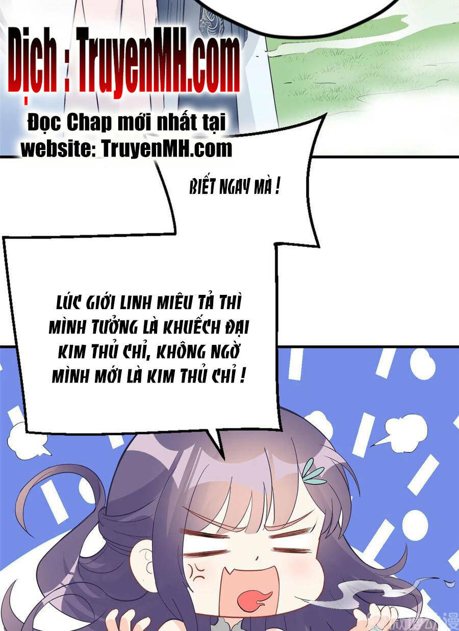 Đồ Đệ Nhà Ta Lại Quải Rồi: Chapter 300