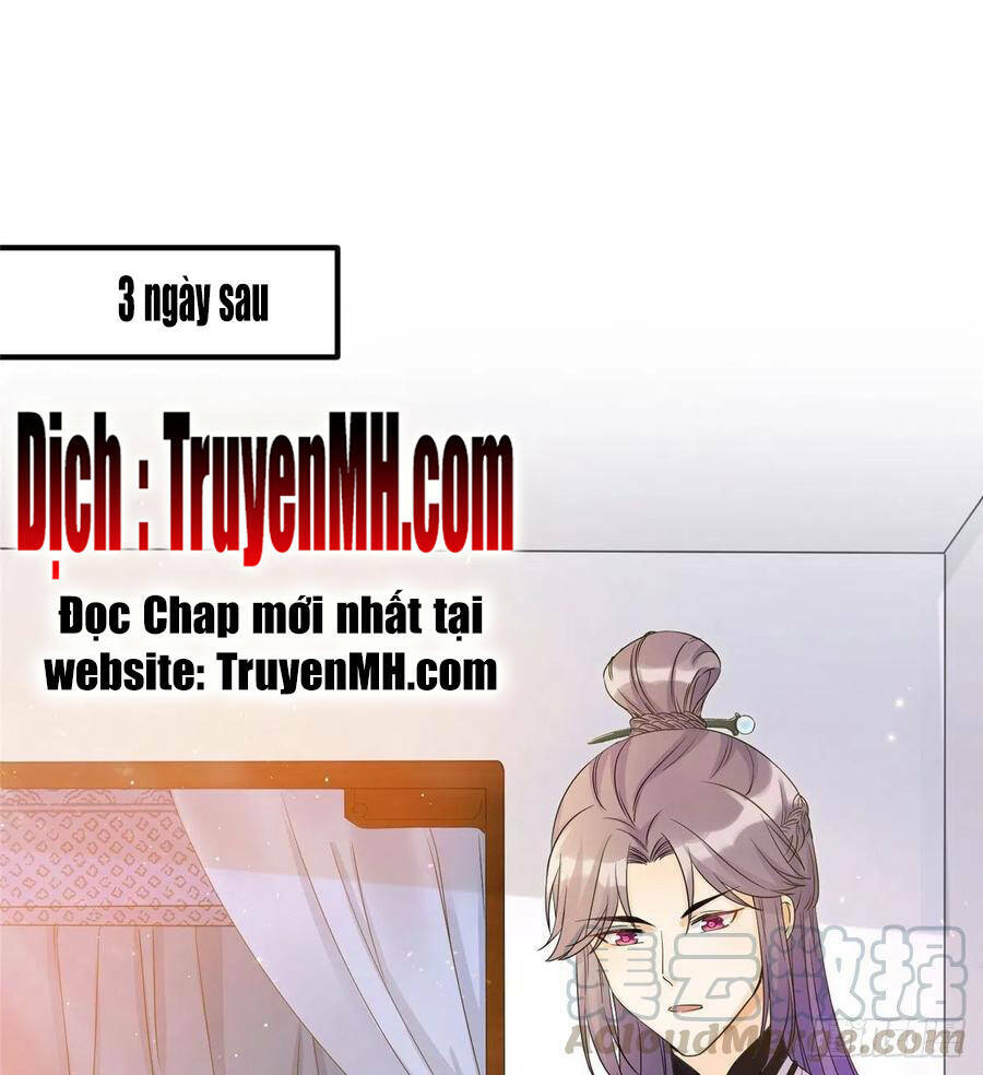 Đồ Đệ Nhà Ta Lại Quải Rồi: Chapter 308