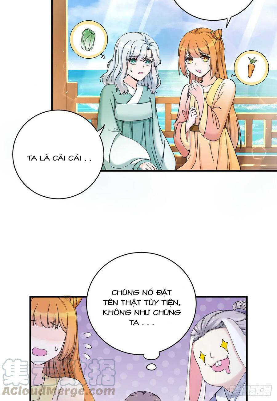 Đồ Đệ Nhà Ta Lại Quải Rồi: Chapter 311