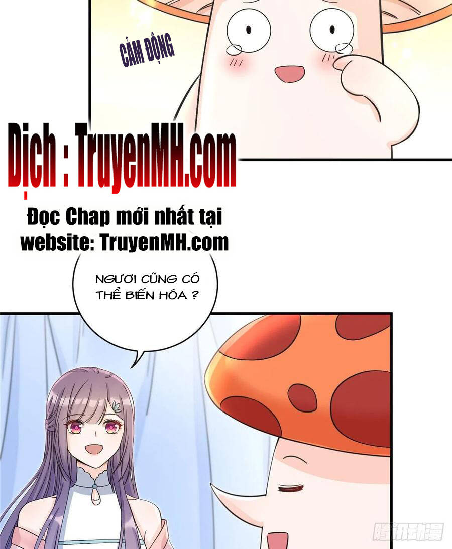 Đồ Đệ Nhà Ta Lại Quải Rồi: Chapter 312